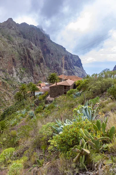 Tamaimo yolunda Dağ bakış açısı