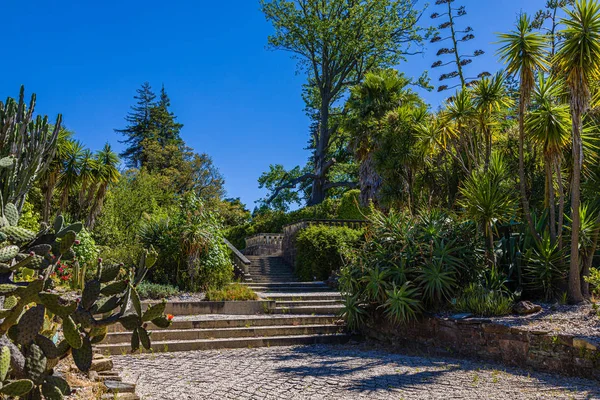 Orto Botanico di Porto, Portogallo — Foto Stock