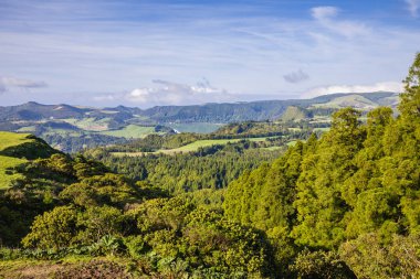 Furnas Gölü çevresindeki manzara, Sao Miguel Adası, Azores takımadaları