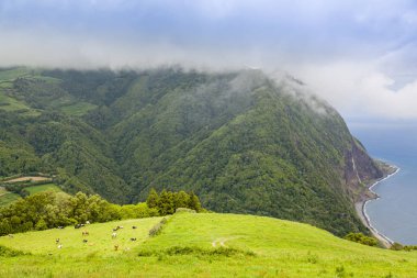 Furnas çevresindeki manzara, Sao Miguel Adası, Azores takımadaları