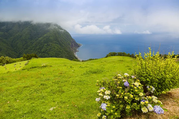 Landscape around Furnas, Sao Miguel Island, Azores archipelago