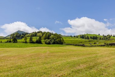 Sao Miguel adasında Capelas kasabası üzerinde Manzara, Azores archipe