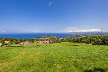 Sao Miguel adasında Capelas çevresinde Manzara, Azores archipelag