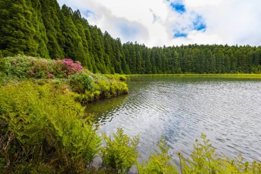 Sao Miguel Adası'ndaki Kanarya Gölü Lagünü, Azores takımadaları