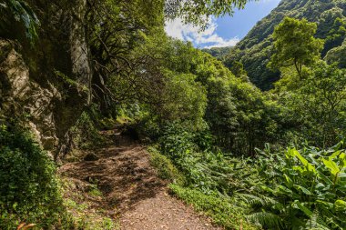 Nature Salto Do Prego trailhead at Faial Da Terra, Sao Miguel, A