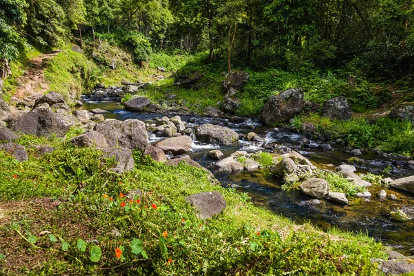 Nature Point de départ du sentier Salto Do Prego à Faial Da Terra, Sao Miguel, A — Photo