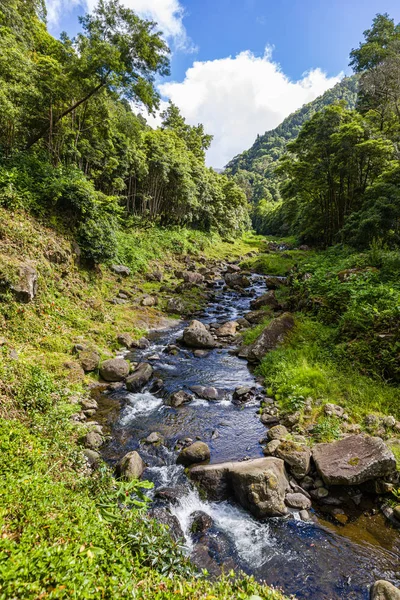 Nature Point de départ du sentier Salto Do Prego à Faial Da Terra, Sao Miguel, A — Photo