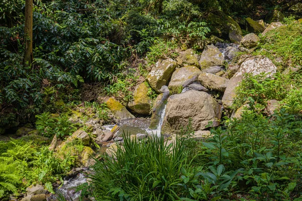 Nature Point de départ du sentier Salto Do Prego à Faial Da Terra, Sao Miguel, A — Photo