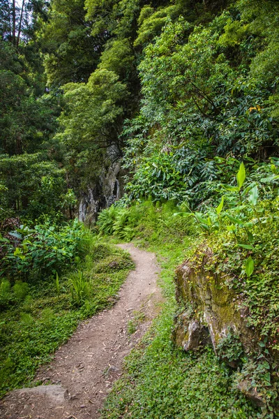 Nature Salto Do Prego trailhead at Faial Fabra Terra, Sao Fabruel, A — стоковое фото