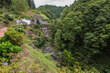 Sao Miguel Adası ov kuzeyinde Park Doğal dos Caldeiroes