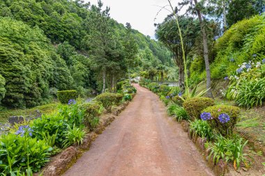 Sao Miguel Adası ov kuzeyinde Park Doğal dos Caldeiroes