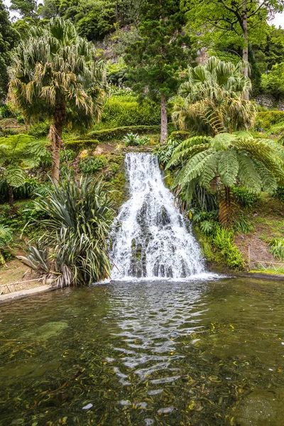 Parc Natural dos Caldeiroes dans le nord de l'île de Sao Miguel ov — Photo