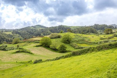 Sao Miguel adasının güneyinde peyzaj, Azores
