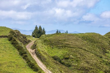 Sao Miguel, Azores dağlarında çayır ve otlaklar