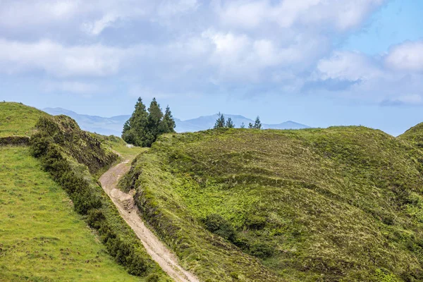 Prados e pastagens nas montanhas de São Miguel, Açores — Fotografia de Stock