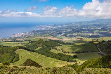 Sao Miguel, Azores dağlarında çayır ve otlaklar