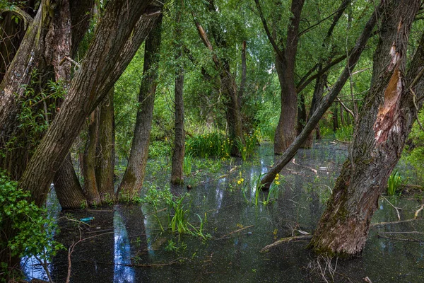 Kunov Wasserreservoir Der Nähe Des Kleinen Dorfes Kunov Der Nähe — Stockfoto