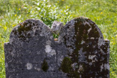 Slovakya 'nın Trstin kasabası yakınlarındaki çok eski terk edilmiş Yahudi mezarlığı.