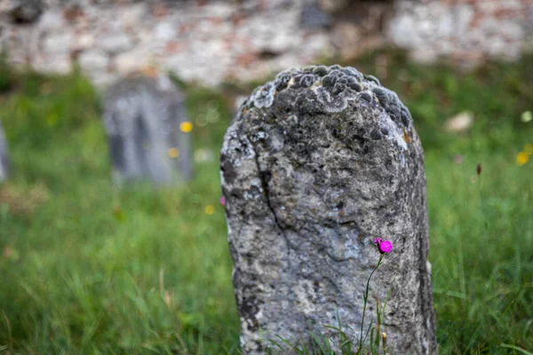 Ancien Cimetière Juif Abandonné Près Village Trstin Slovaquie — Photo