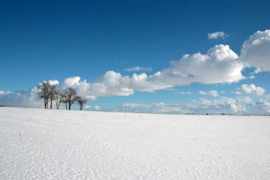 Güneşli bir günde karlı alanları