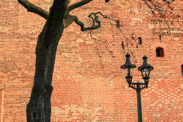Kırmızı Duvar Arka Plan Ağaç Sokak Lambası — Stok fotoğraf
