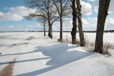 Yolun karlı alanları ağaçta