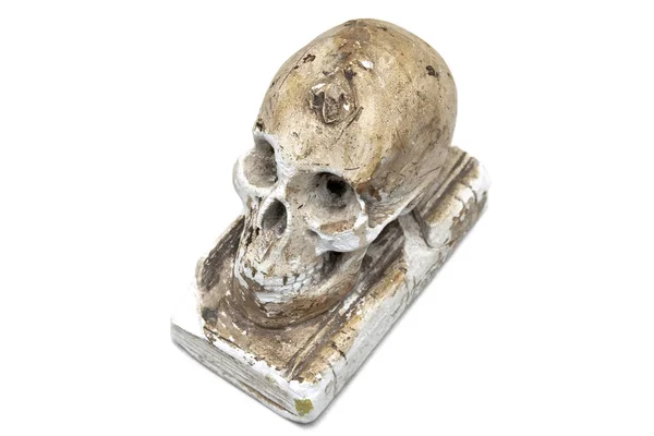 Cráneo Yeso Desde Parte Superior Sobre Fondo Blanco — Foto de Stock