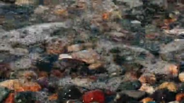 Denize yakın güneşli bir gün su ile taş plaj