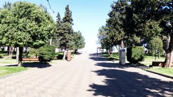 Міська алея з зеленими деревами, рух камери — стокове відео