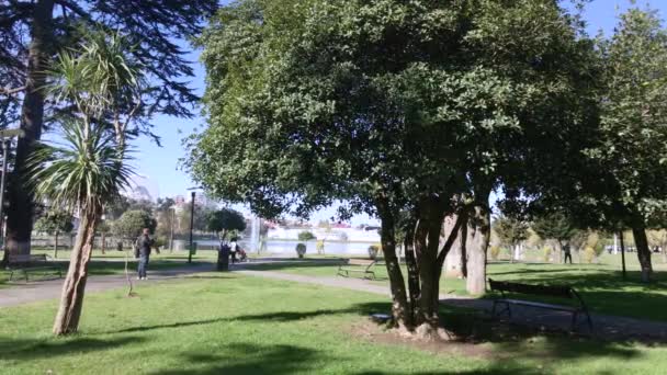 在阳光明媚的日子里可以看到公园的景色 — 图库视频影像