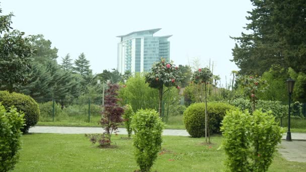 公园内不同灌木在建筑背景下. — 图库视频影像