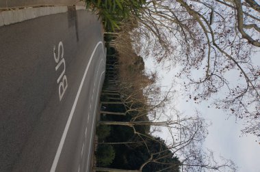 Şehir yolun ağaçları arasında