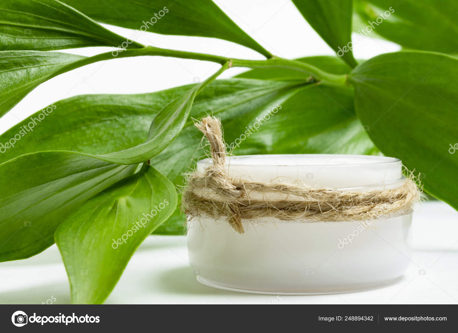 green leaf face cream
