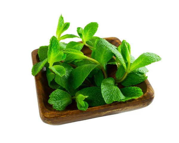 Menta fresca en cuenco de madera aislada sobre fondo blanco. La vista —  Fotos de Stock