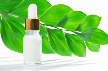 Doğal kozmetik: beyaz arka plan üzerinde damlalık ve yeşil yaprakları ile serum.