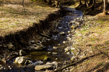 Kayaları akan küçük sığ. Doğa winte sırasında