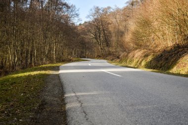 Yaprak döken orman kış güneşli gün boyunca yolda