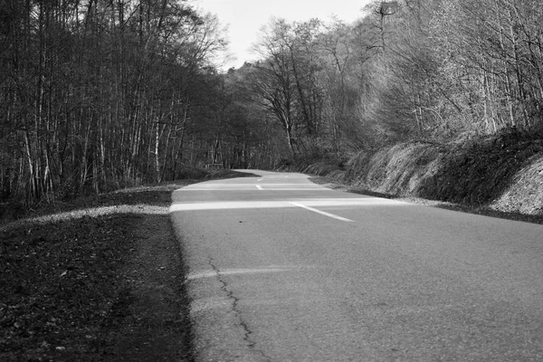 Road through deciduous forest during winter sunny day. Black and — Stock Photo, Image