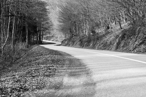 Дорога через лиственный лес в зимний солнечный день. Черный и — стоковое фото