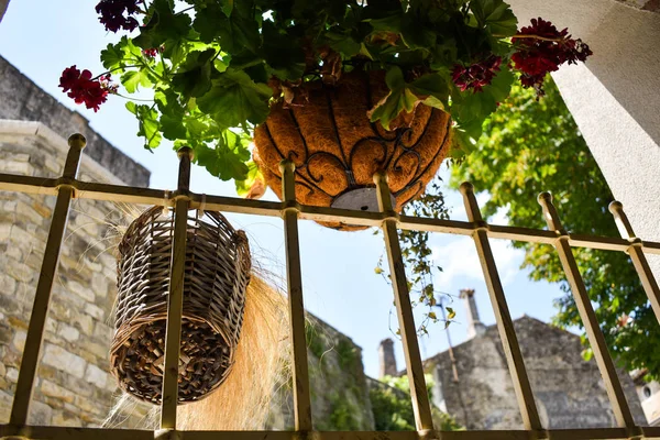Dekorativa utomhus blomkrukor. Utsikt från restaurang i Motovun, Kroatien. — Stockfoto