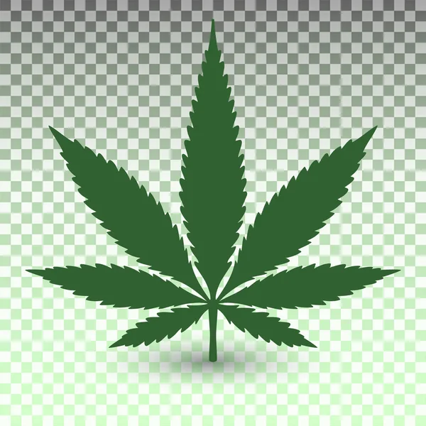 Hoja Marihuana Sobre Fondo Transparente Formato Vectorial — Vector de stock