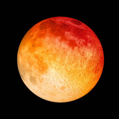 Red Moon portre