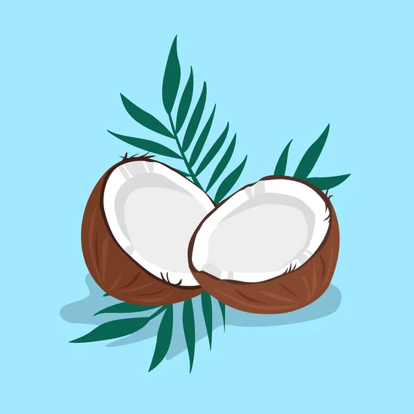 Fresh tropical coconut with palm leaves on bright blue background vector