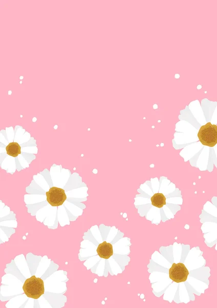 Симпатична Біла Ромашкова Квіткова Рамка Рожевому Фоні Вектор — стокове фото