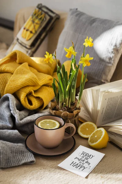 yellow daffodils flowers and tea on background