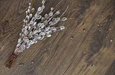 Buket dalları ile arka plan üzerinde kedicikler