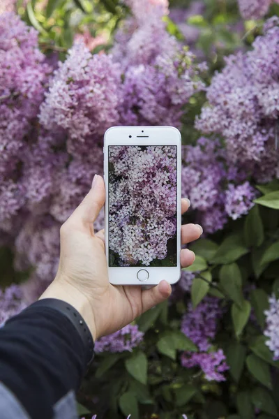 el ile smartphone fotoğrafta çiçekler bahar