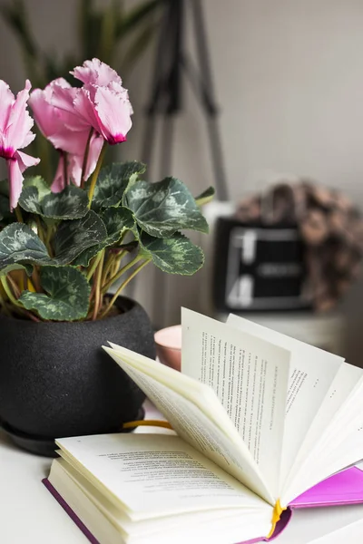 pot ve arka plan üzerinde kitap güzel pembe f çiçeklenir