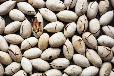 masanın kabuğunda ceviz fındık