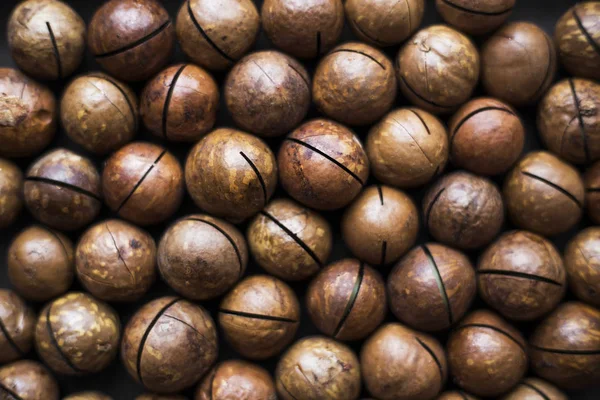 kabuk kahverengi macadamia fındık